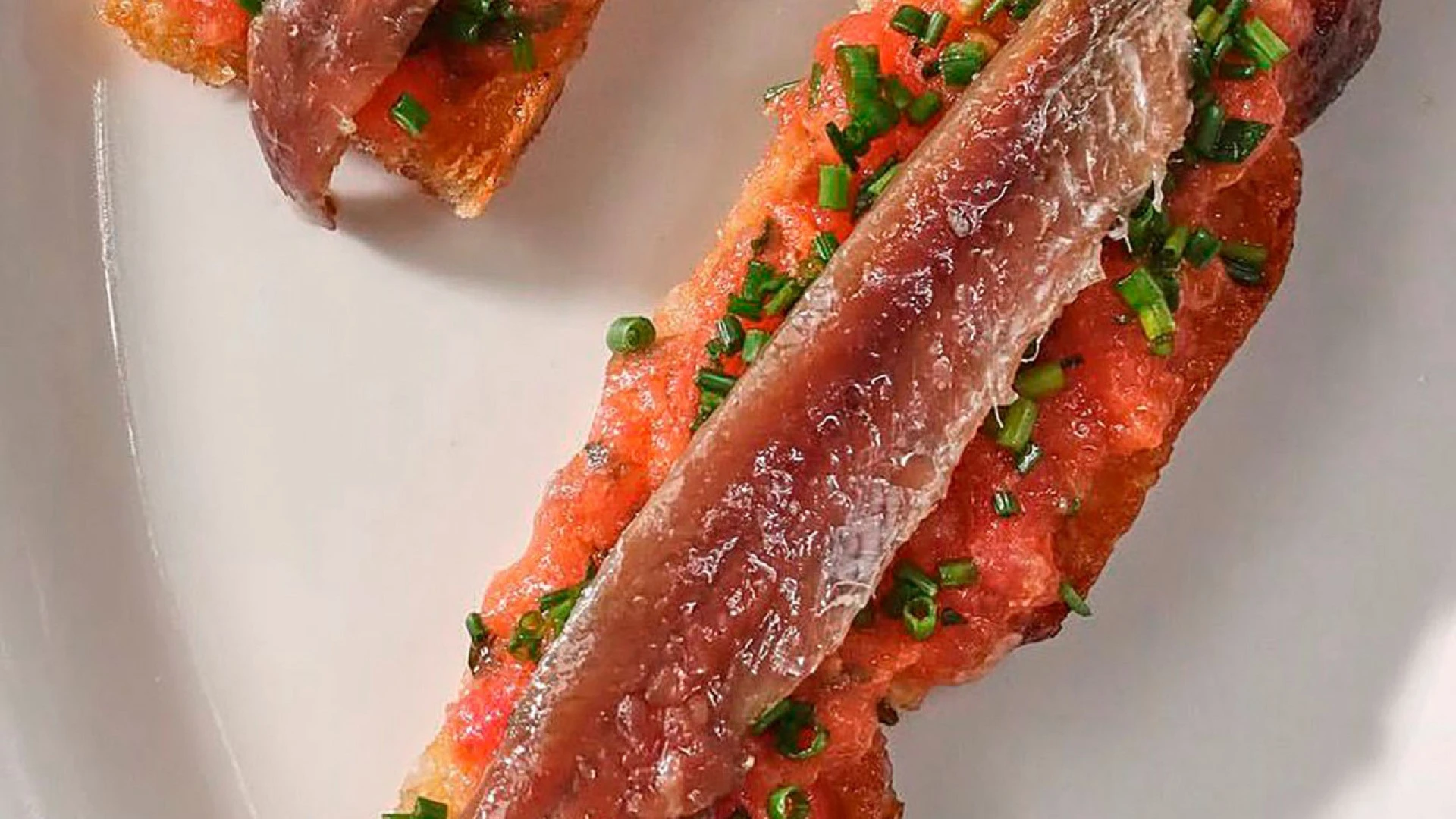 Anchoa del Cantábrico